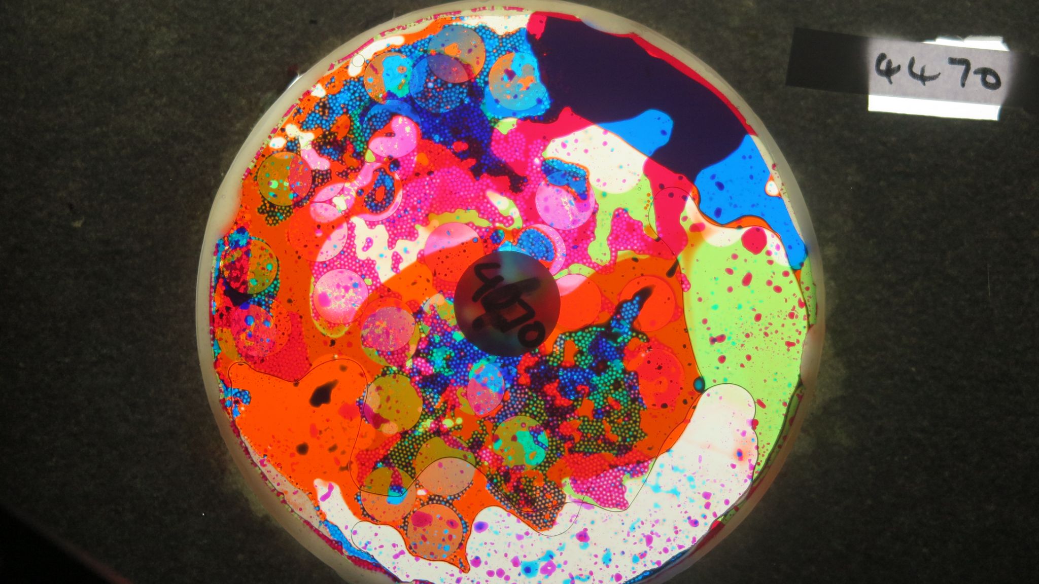 BV4470 bubble vision oil wheel